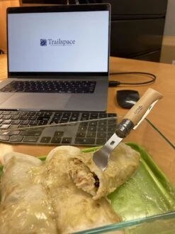 Opinel Picnic+ -Camping Paradise 5F2C0E15 C5DD 415D A3C4 0BEB63F45982