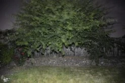 BioLite PowerLight Mini -Camping Paradise BioStill07