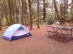 REI Camp Dome 2 -Camping Paradise CampDomeTableFlowers