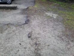 REI Camp Dome 2 -Camping Paradise ComeAtMeBro