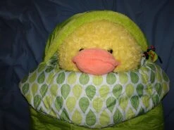 NEMO Punk 20 -Camping Paradise DSC04125a