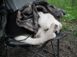 ALPS Mountaineering Lightweight Series Self Inflating Air Pads 40 ALPS Mountaineering Lightweight Series Self Inflating Air Pads -Camping Paradise DSCF0020