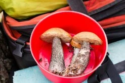 Primus PrimeTech Pot -Camping Paradise IMG 8316