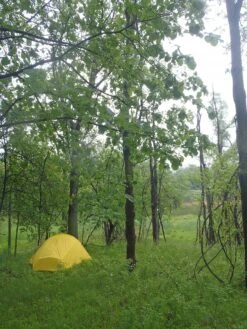 SlingFin 2Lite -Camping Paradise P5310189