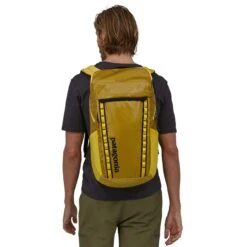 Patagonia Black Hole Pack 32L -Camping Paradise WBS23 49301 SHNY CS1 rsz 45481.1676338753