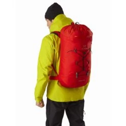 Arc'teryx Alpha FL 40 Backpack -Camping Paradise alpha fl 40 backpack dynasty back view rsz 57380.1654901462