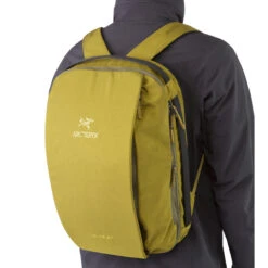 Arc'teryx Blade 20 -Camping Paradise blade 20 biome shoulder straps copy 78592.1626822037