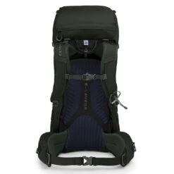 Osprey Kestrel 38 (Fall 2022) -Camping Paradise kestrel38 s19 back picholinegreen 54262.1672179111