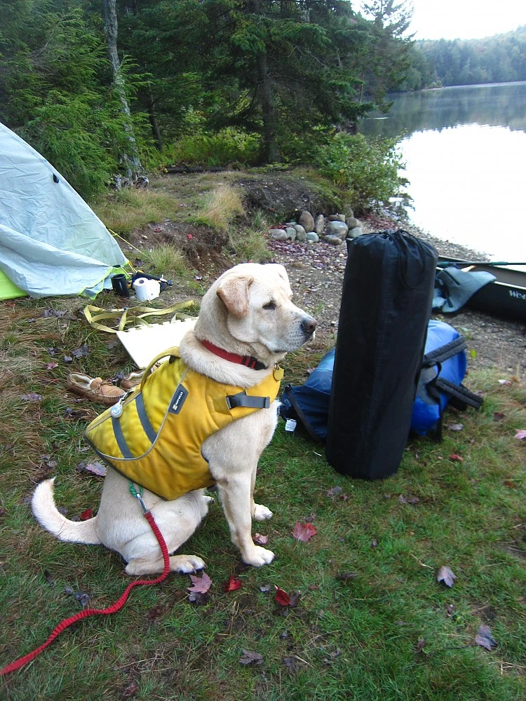 ALPS Mountaineering Lightweight Series Self Inflating Air Pads 15 ALPS Mountaineering Lightweight Series Self Inflating Air Pads - Image 13